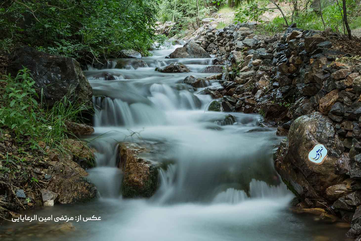 روستای گرینه نیشابور، مرتضی امین الرعایایی